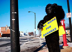 Would you hire him? Photo by philcampbell from flickr.com.
